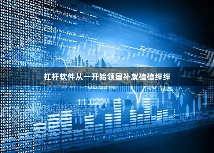 杠杆软件从一开始领国补就磕磕绊绊