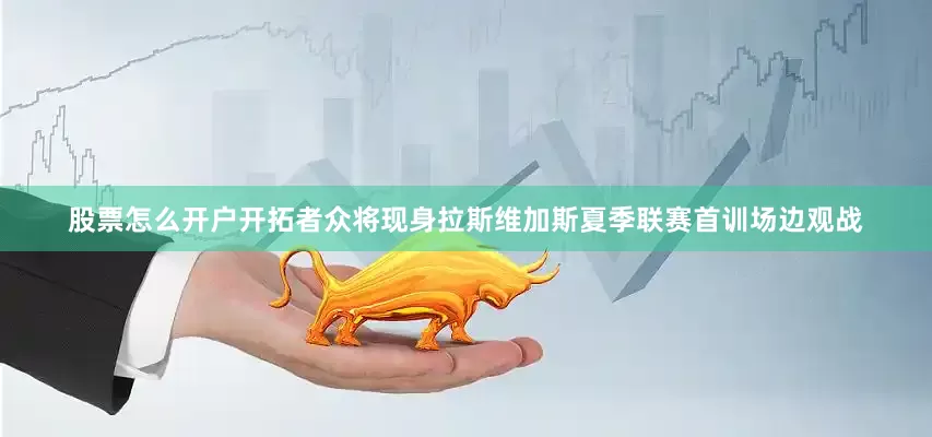 股票怎么开户开拓者众将现身拉斯维加斯夏季联赛首训场边观战