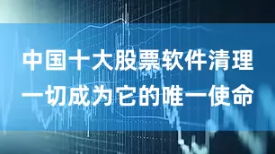 中国十大股票软件清理一切成为它的唯一使命
