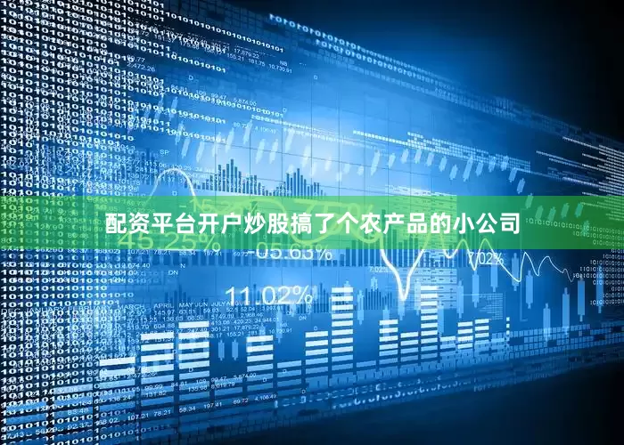 配资平台开户炒股搞了个农产品的小公司